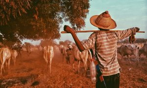 Man with stick