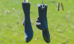 socks on a washing line