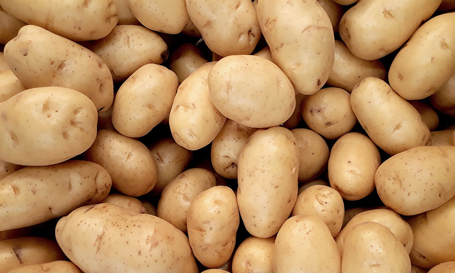 Word of the Week: Potato | Balance Media