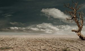 Dried up lake