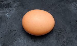 an egg